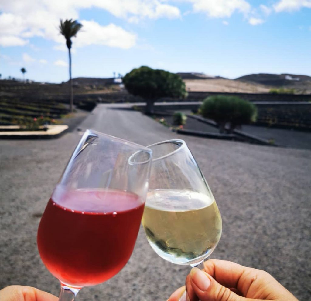 bodegas la florida
